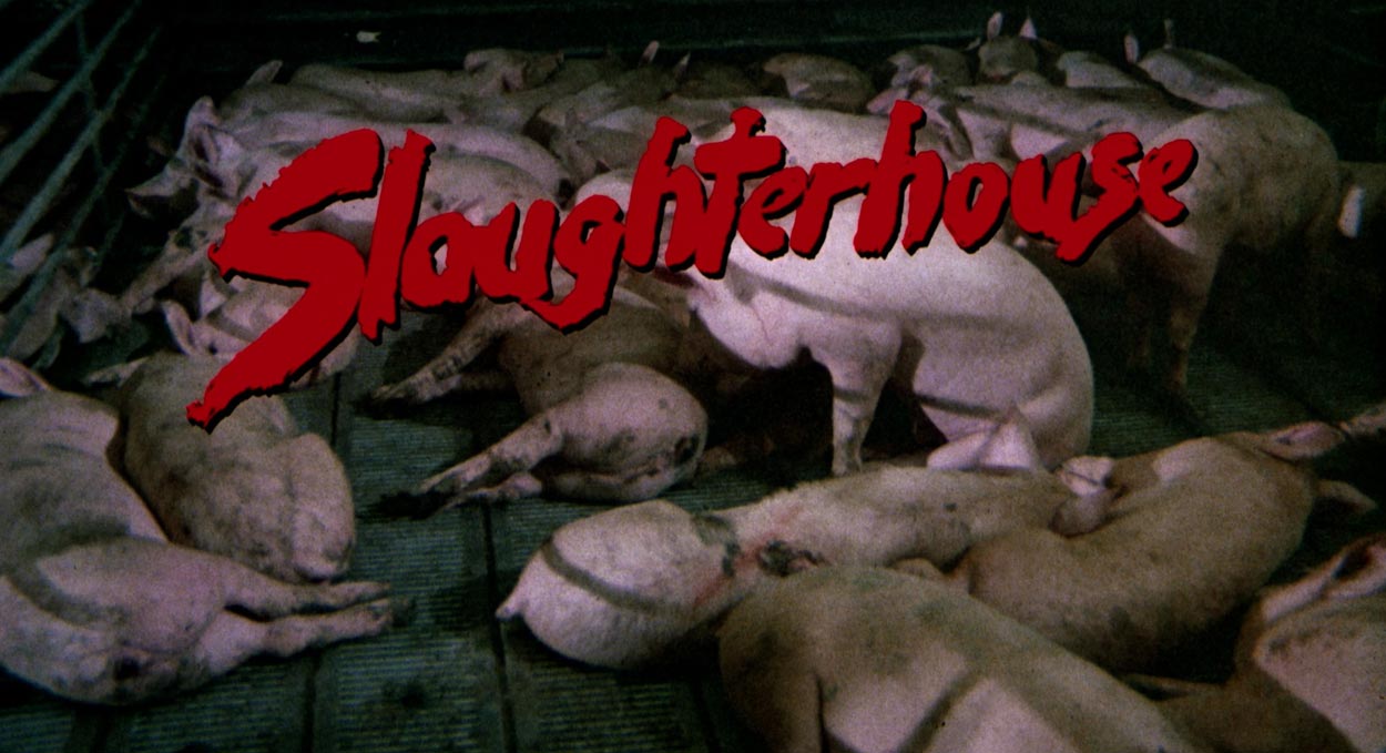 slaughterhouse-1