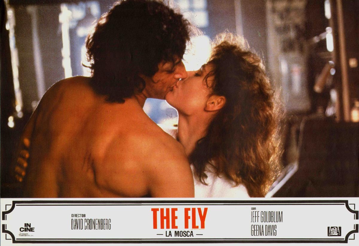 The Fly