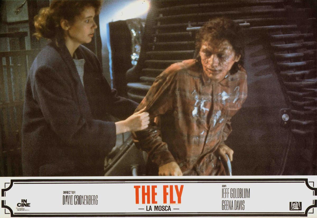 The Fly