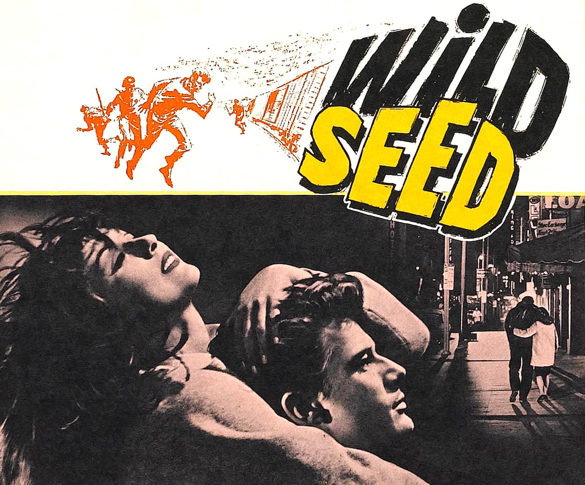 wild-seed-3