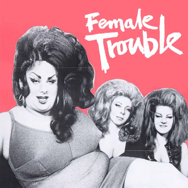 Female Trouble (The Criterion Collection) [Blu-ray 新品北米版Blu